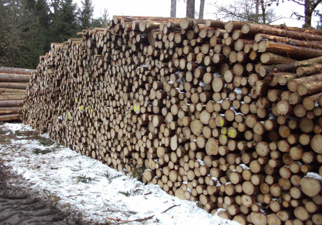 Schleifholz Schleifholz