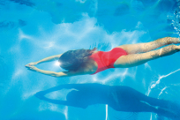 Waldbesitzervereinigung Mitterfels e.V. a3502770.jpg