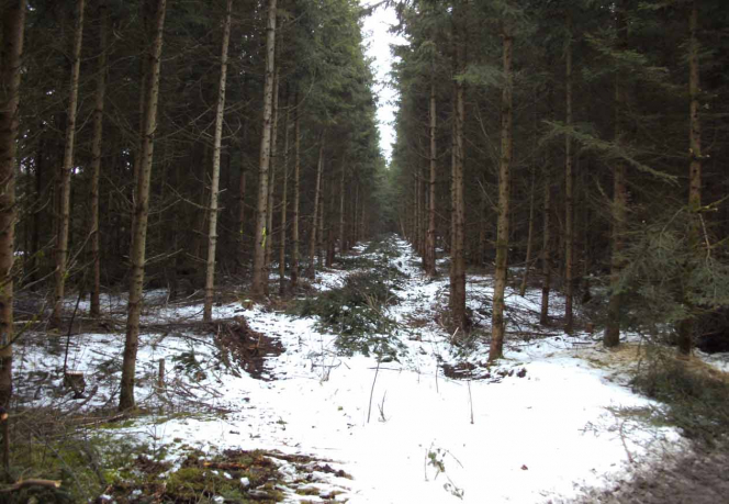 Rueckegasse Rueckegasse